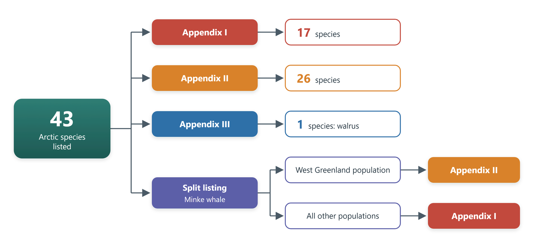 Figure 3, CITES-listed Arctic species and appendices, as drawn by the authors.